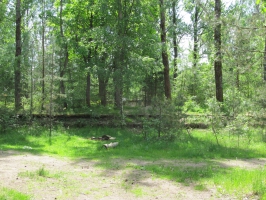 Развалины депо и остатки железной дороги в Мичуринском