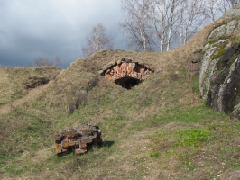 Крепость в Высоцке - Тронгзунд
