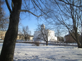 Среди деревьев.