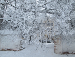 Новгородская духовная семинария