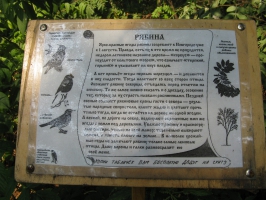 Табличка с обстоятельным рассказом о местной флоре