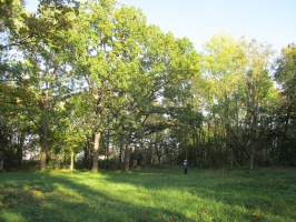 Усадьба Жабино