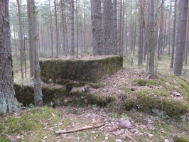 Форт Ино (форт Николаевский) - Судя по расположению, вероятно, - сооружения опорного пункта 10 (см. план)