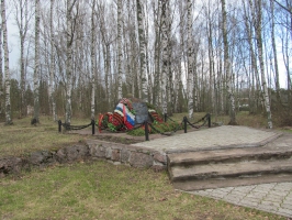 Крепость в Высоцке - Тронгзунд